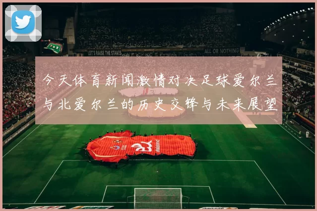 今天体育新闻激情对决足球爱尔兰与北爱尔兰的历史交锋与未来展望